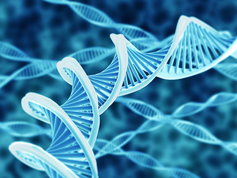 Genetics